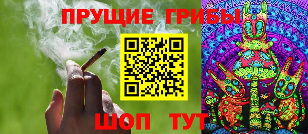 Галлюциногенные грибы GOLDEN TEACHER  Псилоцибиновые грибы Magic Shrooms  Зеленогорск  Вход с VPN 